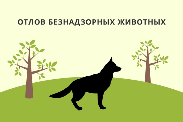 Уважаемые жители! В период с 10 по 14 октября 2022 года на территории Лозновского сельского поселения будет осуществлен отлов безнадзорных животных..